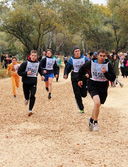 По тропе здоровья