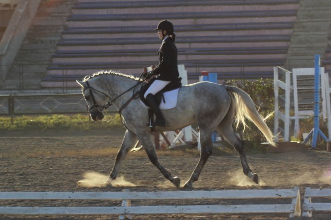 Алтайские конники стали призёрами проводившегося в Абакане Открытого Кубка Сибири по выездке и троеборью.