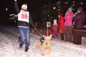"Ночной сумасшедший заезд".  Гонки на собаках в барнаульском квартале "Дружный". Фото  
