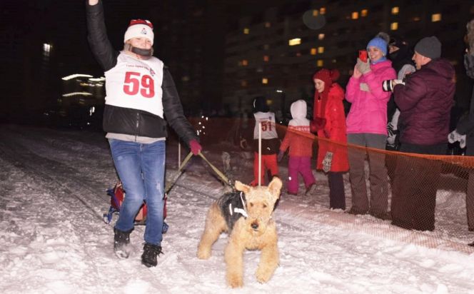 Фото: спортивно-кинологическое общество "Колибри"