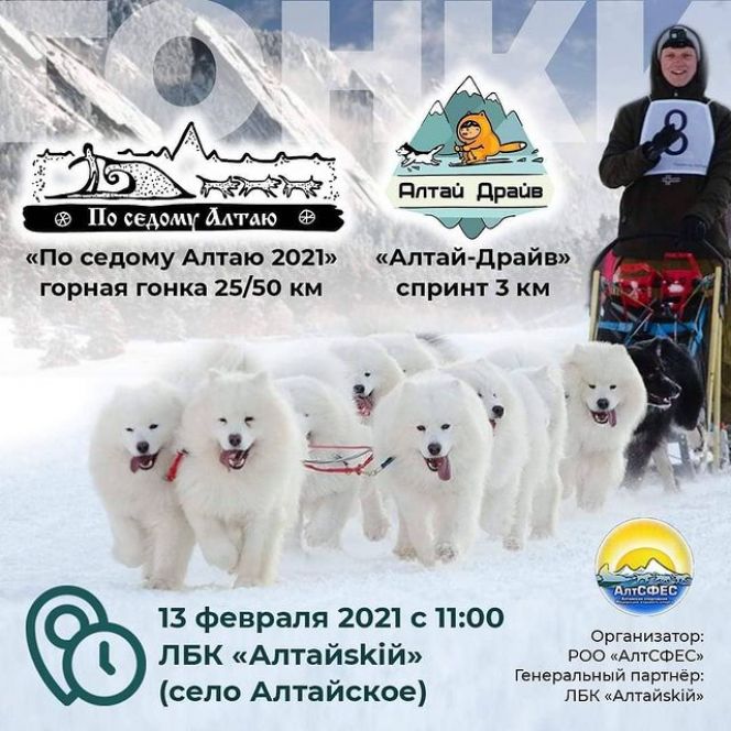 13 февраля в Алтайском районе состоится межрегиональная горная гонка на собачьих упряжках "По седому Алтаю"