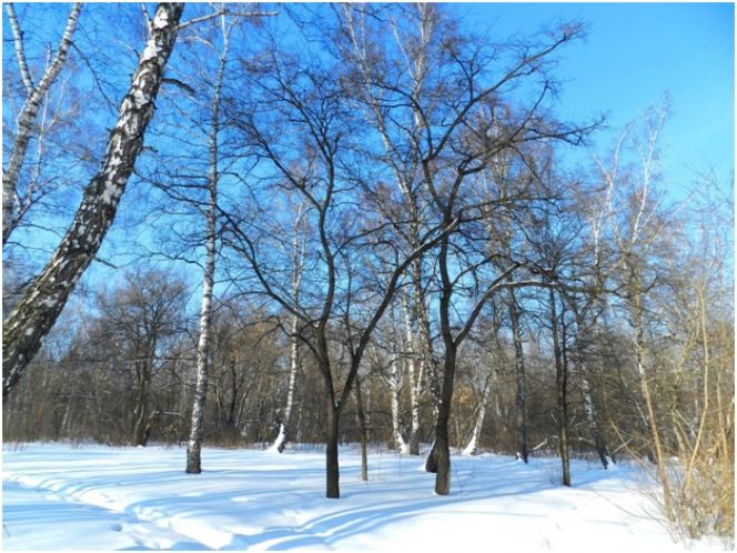 Парк "Юбилейный"