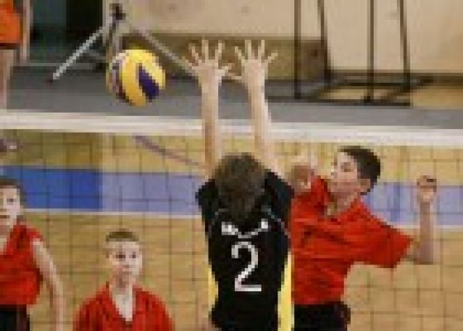 24-26 октября. Города и районы Алтайского края. 1-й этап Детского фестиваля волейбола "Здесь зажигаются звёзды" - "Благо-дать!".