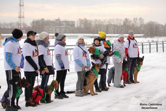 19 октября на Барнаульском ипподроме впервые прошло кинологическое многоборье. 