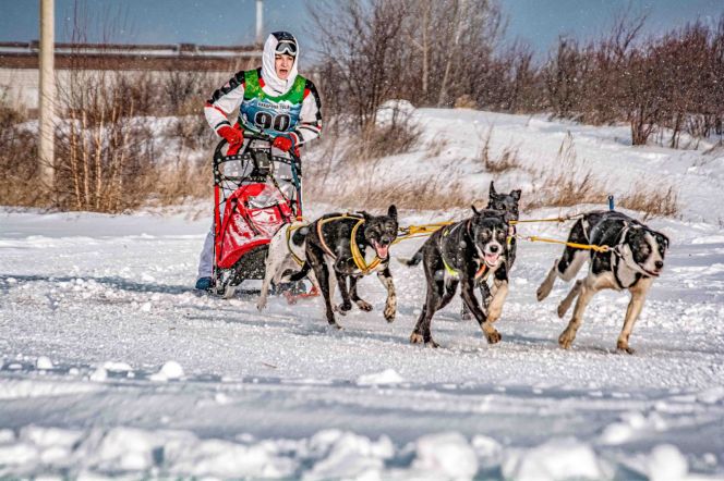 Фото: Владислав Петров (Омск)