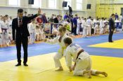 В Барнауле подвели итоги 2-го этапа "Алтайской лиги дзюдо" 