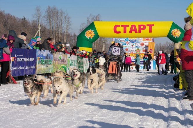 Фото: Сергей Бочарников