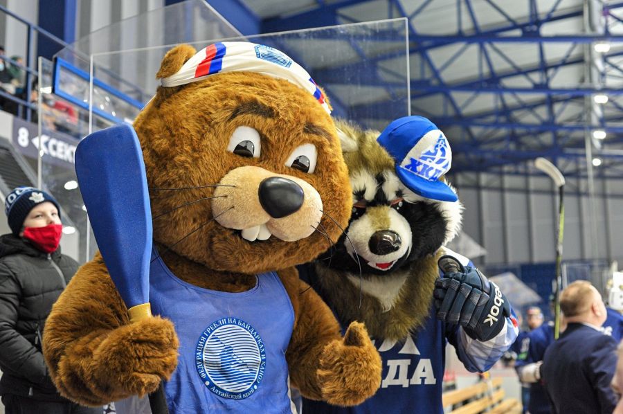 Сегодня вместе с Енотом Крагой болельщиков приветствовал талисман 2-го этапа Кубка мира по гребле на байдарках и каноэ Бобёр Сибиряк. Соревнования пройдут в Барнауле в мае 2021-го. Фото: пресс-служба ХК "Динамо-Алтай"