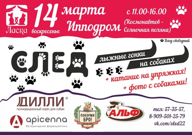 Общественная организация помощи бездомным животным «Ласка» 14 марта проведёт на барнаульском ипподроме гонки на собачьих упряжках «След-2021»