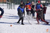 Доступная игра. В барнаульском квартале «Дружный» прошёл турнир по хоккею на валенках с мячом
