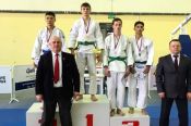 На юношеском межрегиональном турнире памяти Владимира Новикова алтайские борцы завоевали 20 медалей 
