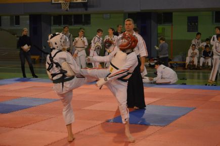 Алтайские спортсмены завоевали два десятка медалей на всероссийском турнире по спортивному контактному каратэ.