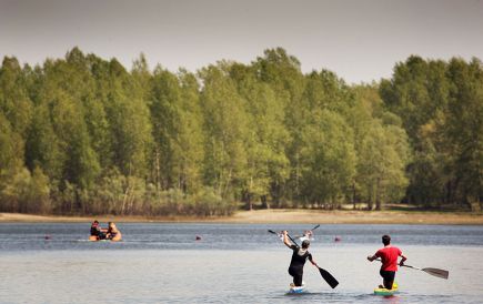 На гребне волны