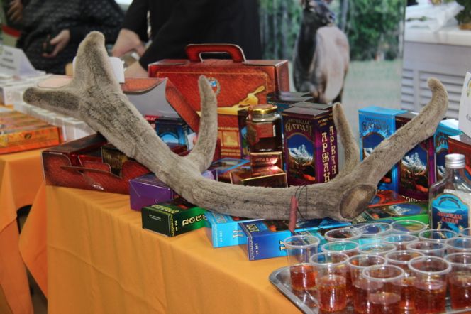 Живое золото Алтая