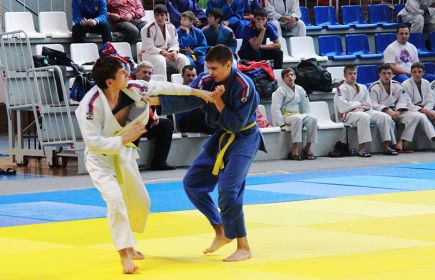 В Барнауле прошел турнир гран-при "Витязь" на призы Ивана Нифонтова и его тренера Игоря Вотякова.