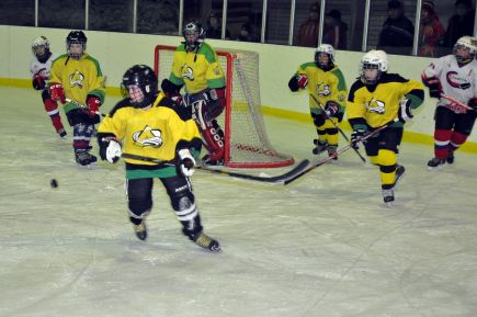 В Заринске финишировал краевой финальный турнир на призы клуба  "Золотая шайба" им. А.В. Тарасова среди юношей 2002-2003 годов рождения.