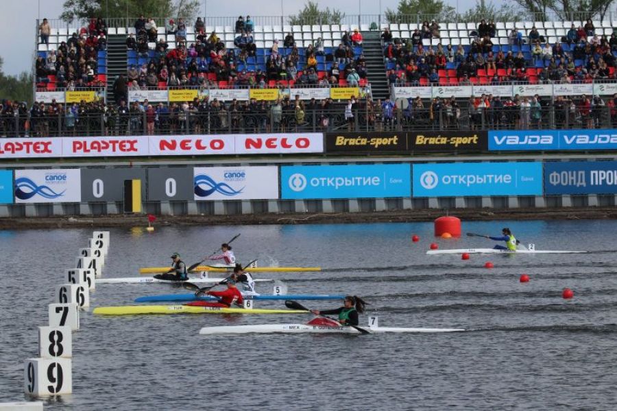 Волонтер Кубка мира Наталия Косарева: «Мне нравится быть востребованной»